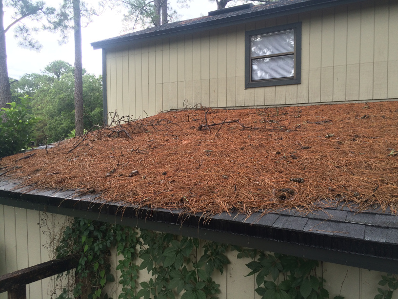 Pine Straw on Roof Kelly Lawn & Property Maintenance