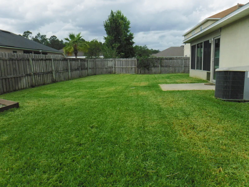 complete view of Orange Park, FL backyard and patio after mowing the tall grass.