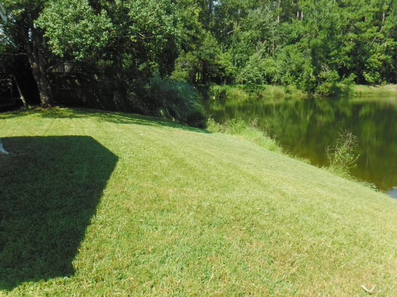 backyard after mowing Bahia grass beside pond in Middleburg, FL