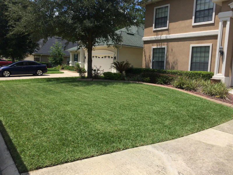very small front lawn with perfect grass after mowing in Oakleaf in Orange Park, FL