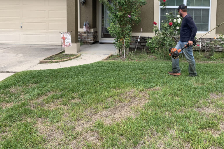 brown patches on st. augustine lawn