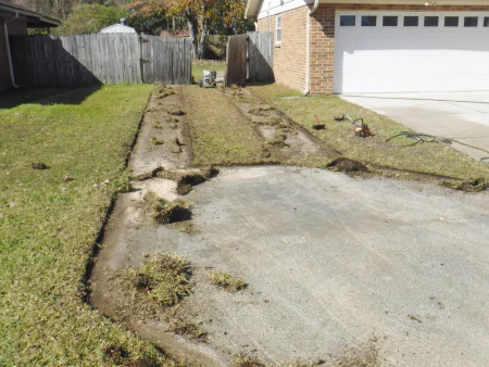 edging an overgrown driveway. a very messy cleanup in Orange Park, FL