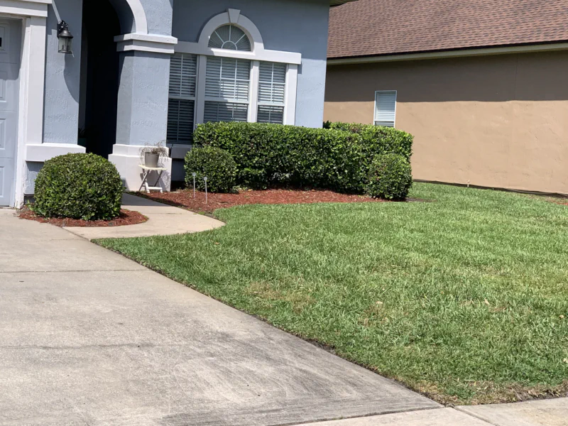small front lawn and hedges after mowing service in Fleming Island, FL