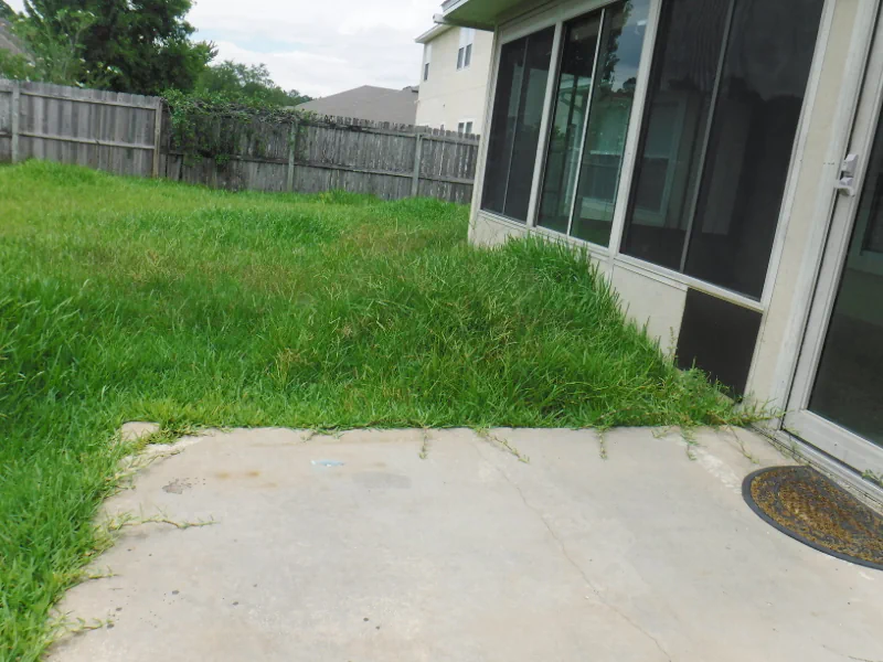 overgrown backyard with grass growing onto the patio in an Orange Park, FL backyard.