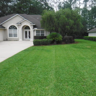 nice Eagle Harbor lawn in Fleming Island, FL after mowing and trimming hedges