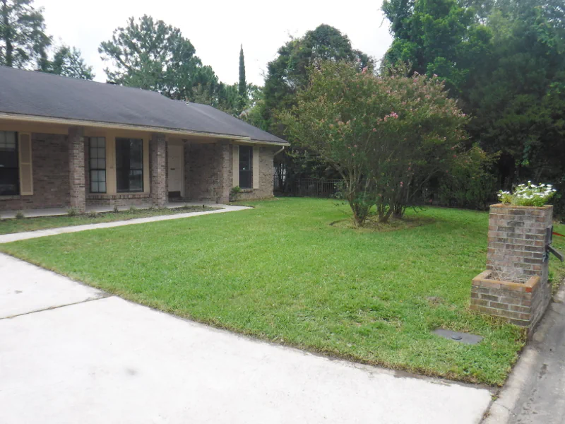 lawn after cleanup in Ridgecrest in Orange Park, FL