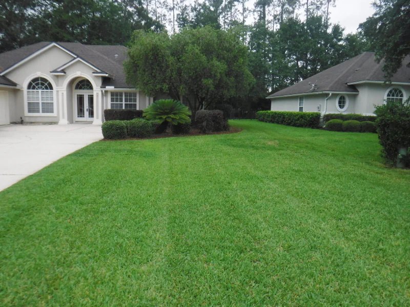 nice Eagle Harbor lawn in Fleming Island, FL after mowing