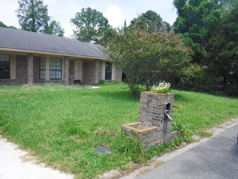 overgrown front lawn before cleanup in Orange Park, FL
