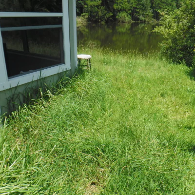 tall grass on side of house before lawn cleanup with pond in background in Middleburg, FL
