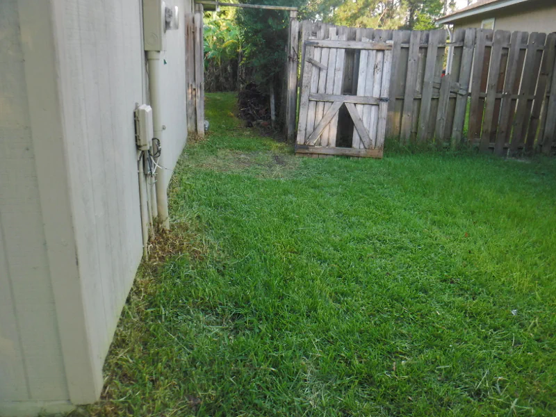 mowed grass on side of house and in front of gate after cleanup in Middleburg, FL