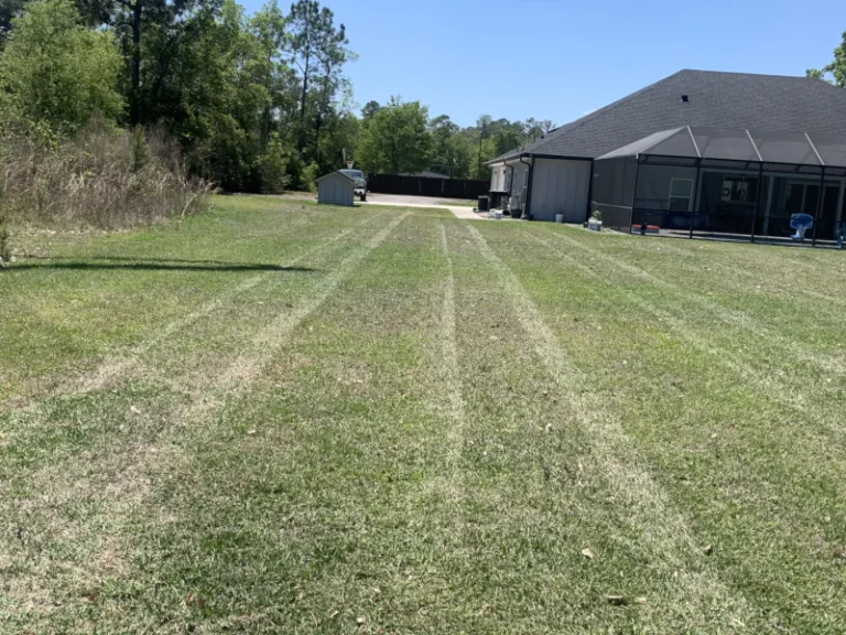 lawn mower tracks on a dry lawn in Lake Asbury, FL