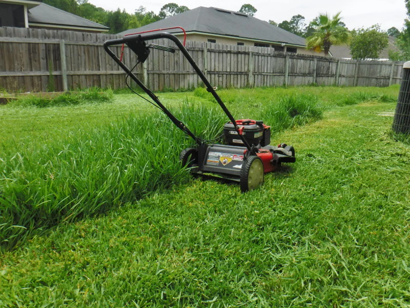 push mower in thick, partially mowed grass in backyard of Orange Park, FL lawn.