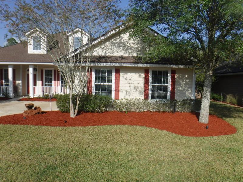 red mulch in front yard flower bed around oak tree and crepe myrtle