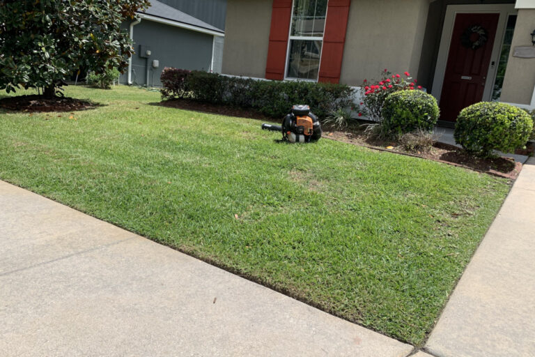 backpack blower sitting on lawn