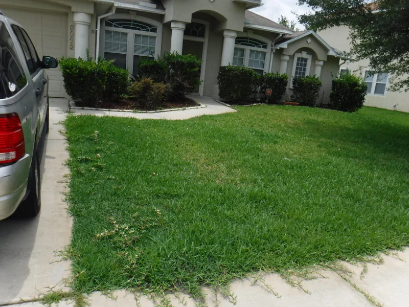 grass creeping over sidewalk and driveway in Orange Park, FL front yard.