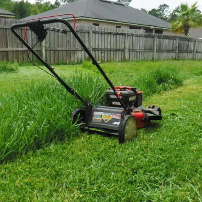 push mower in tall grass during cleanup in Orange Park, FL