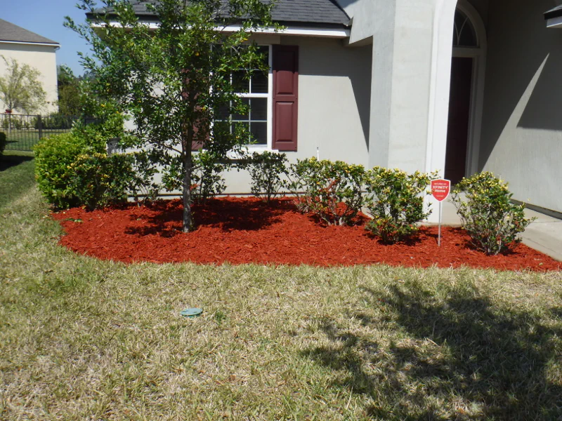 red mulch in in small flower bed in lawn in Oakleaf community in Orange Park, FL