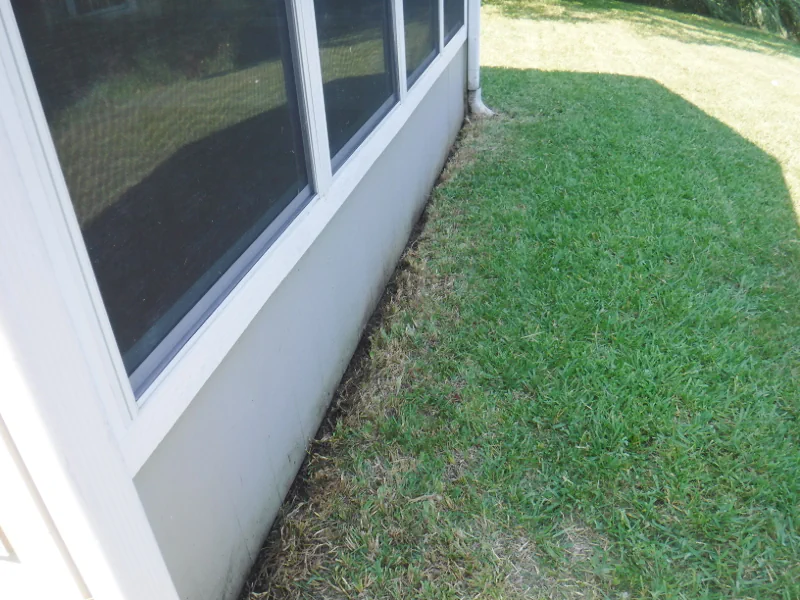 nice looking grass after mowing on side of house in Middleburg, FL