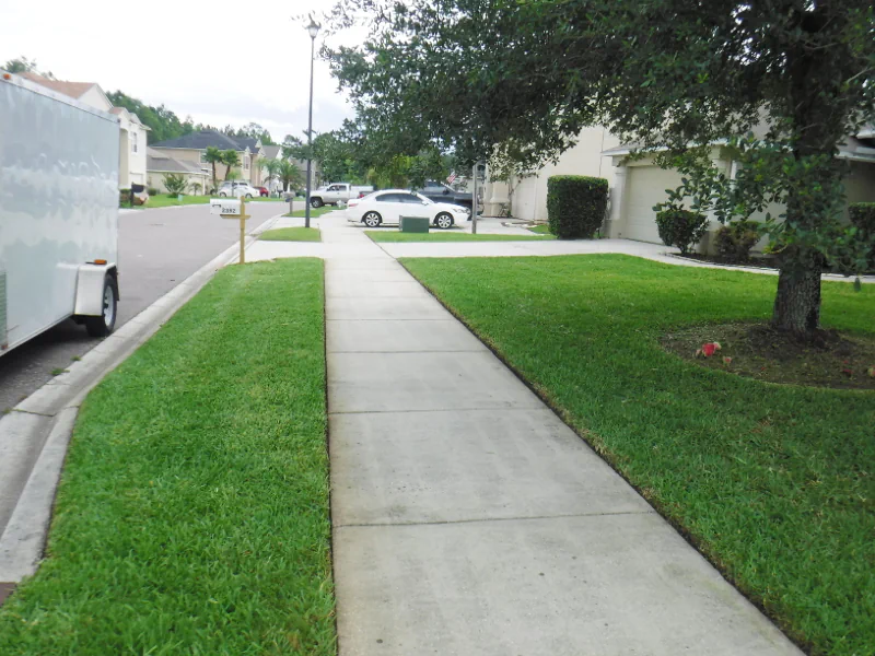 nicely edged sidewalk and curb in an Orange Park, Fl yard after cleanup