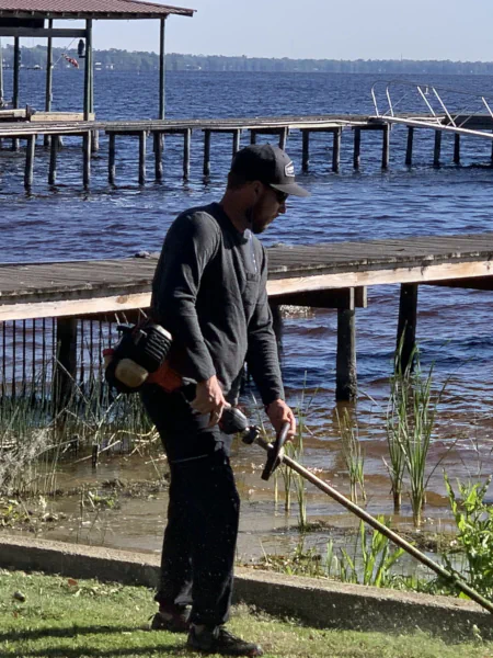 Jason using string trimmer next to the shore of Doctors lake, Lakeside area, Middleburg, FL.