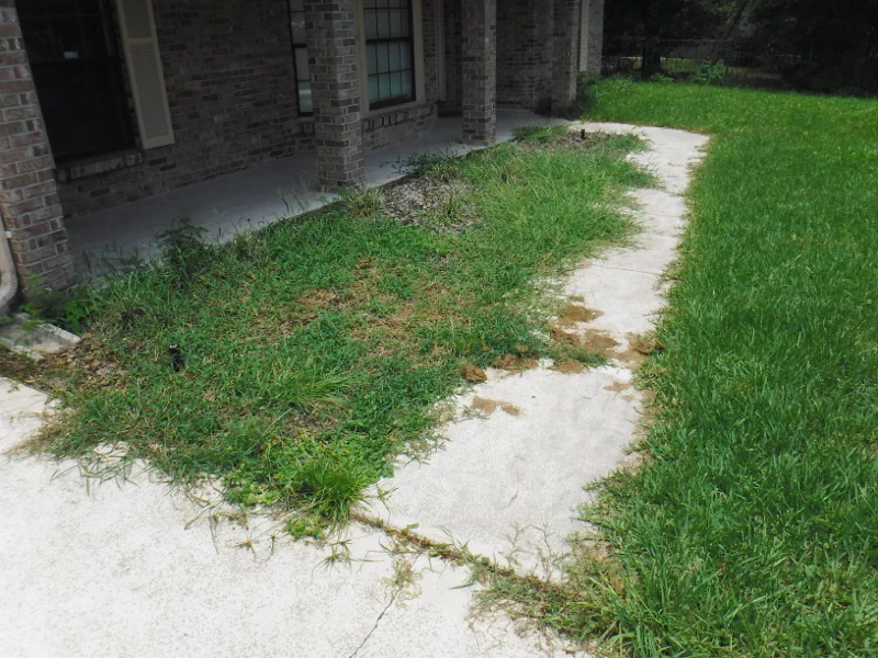 messy flowerbed and grass growing over sidewalk in Ridgecrest neighborhood in Orange Park, FL