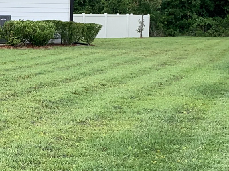 a lawn that has ruts from mowing