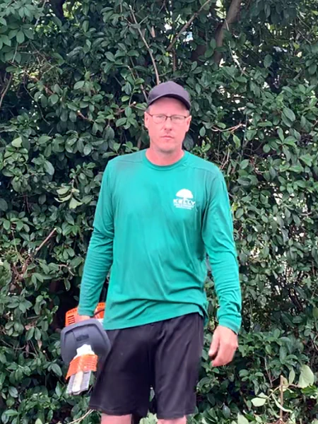 Person holding a hedge trimmer with trimmed hedge in the background